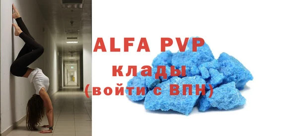 ГАЛЛЮЦИНОГЕННЫЕ ГРИБЫ Белоозёрский